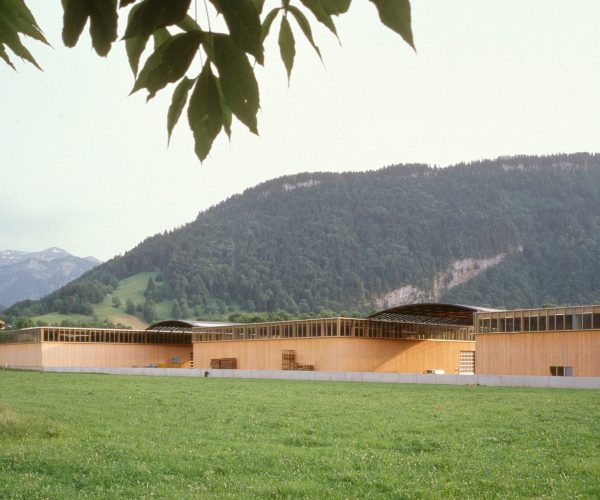 Wälderhaus, Bezau, Foto Ignacio Martinez